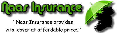 Logo of Naas insurance brokers, Naas Insurance quotes, Naas Insurance reviews