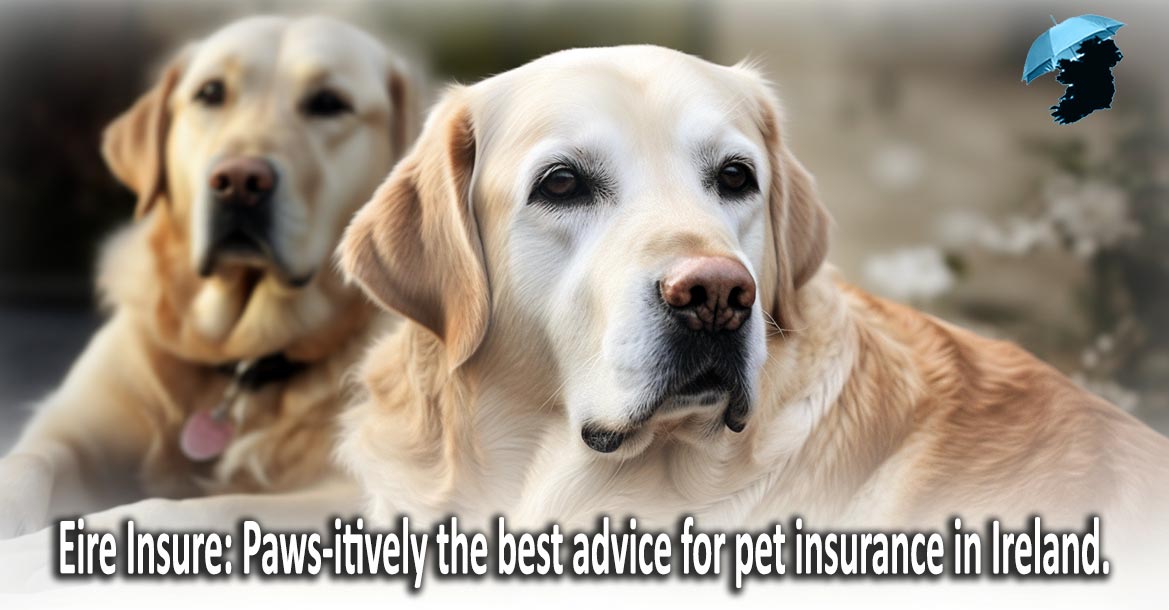Pet Insurance Guides and Tips for Irish Consumers Logo